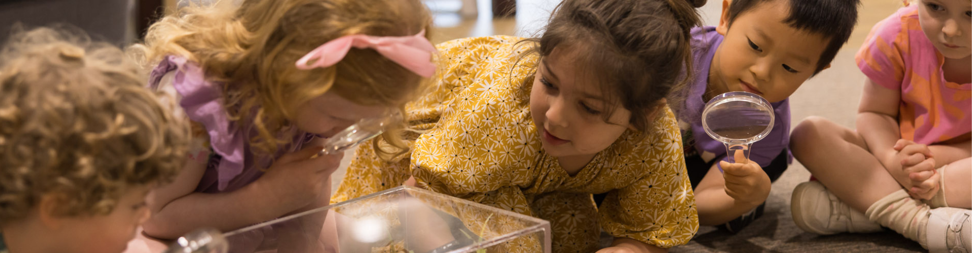 Winter School Holiday Program