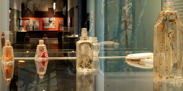 Exhibitions 2025
